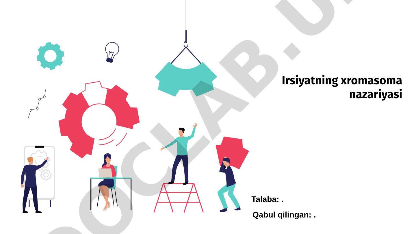 Irsiyatning xromosoma nazariyasi, Morgan va Mendel tadqiqotlari