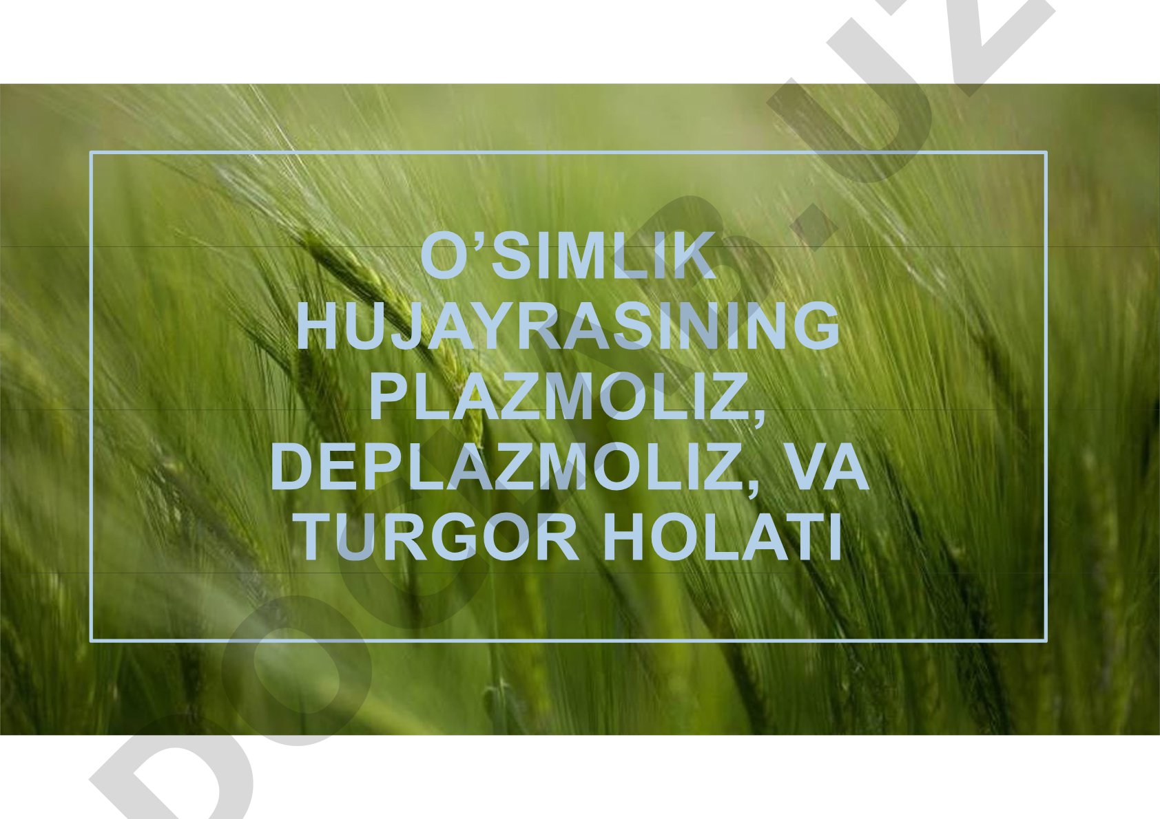 O'simlik hujayrasining plazmoliz, deplazmoliz va turgor holati