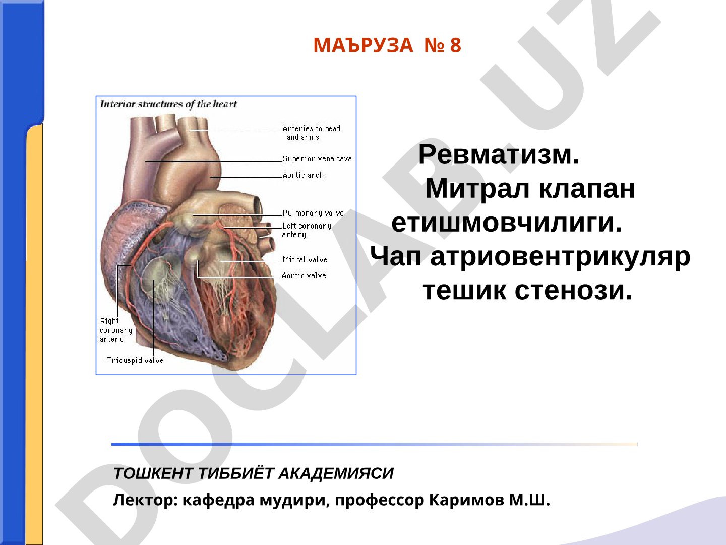 Ревматизм. Митрал клапан етишмовчилиги. Чап атриовентрикуляр тешик стенози.