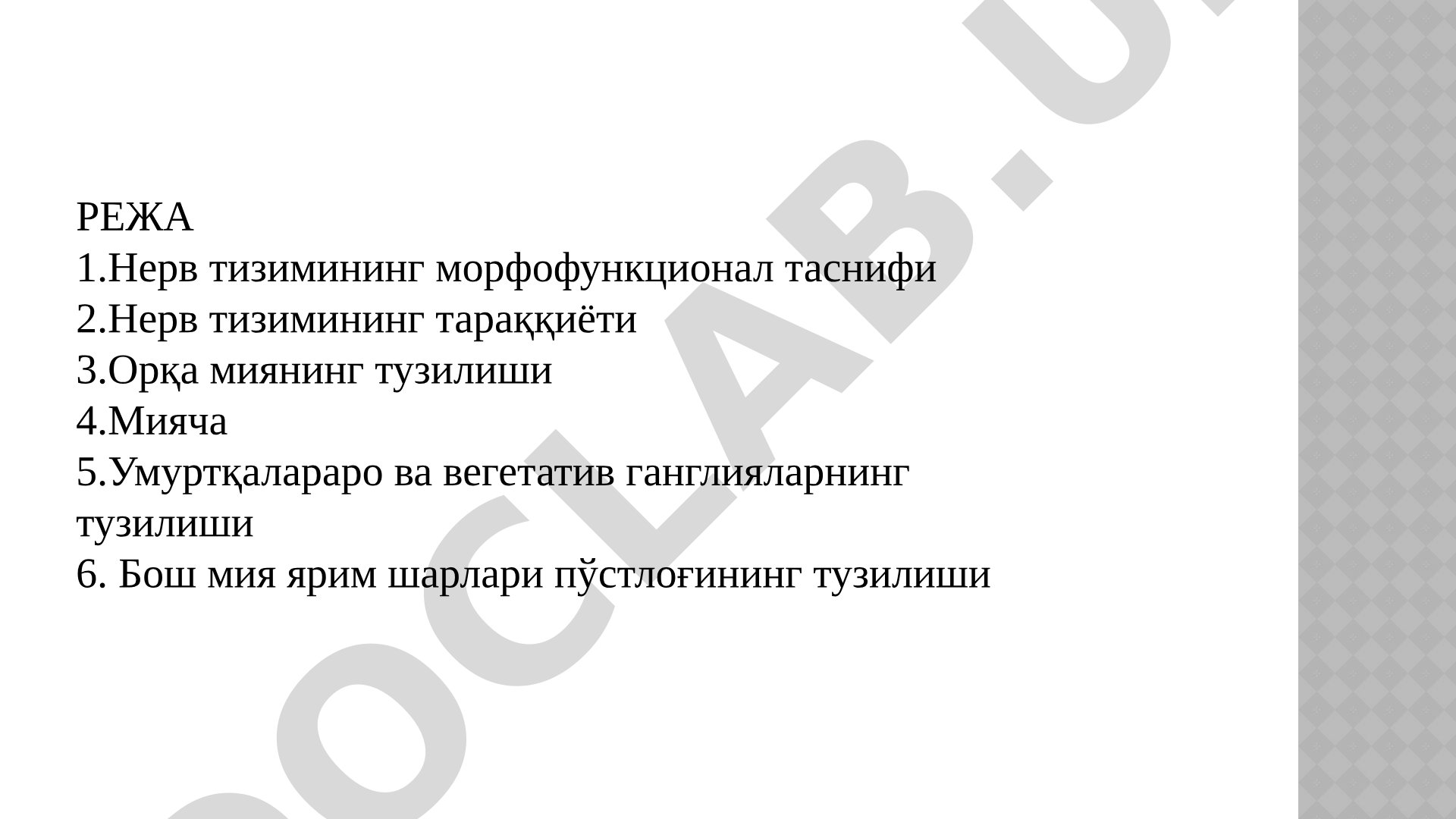 Нерв системасининг тузилиши