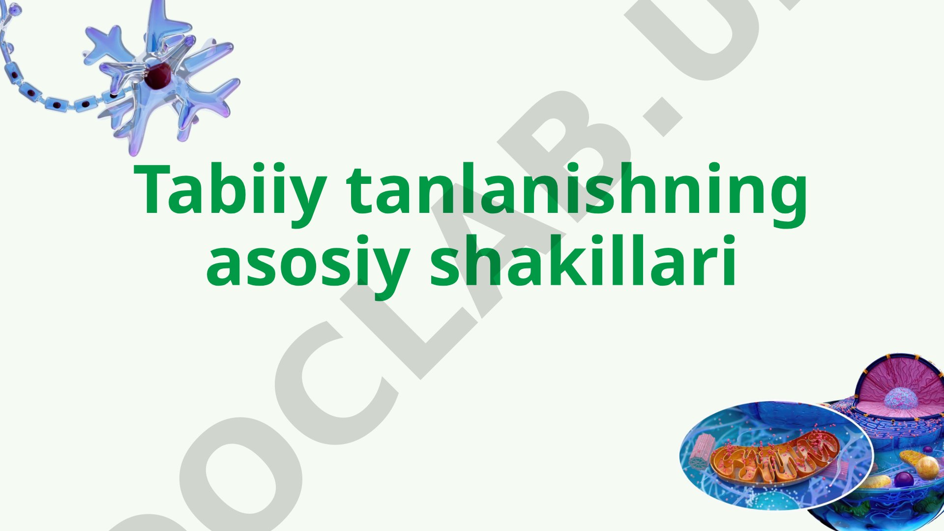 Tabiiy tanlanishning asosiy shakillari