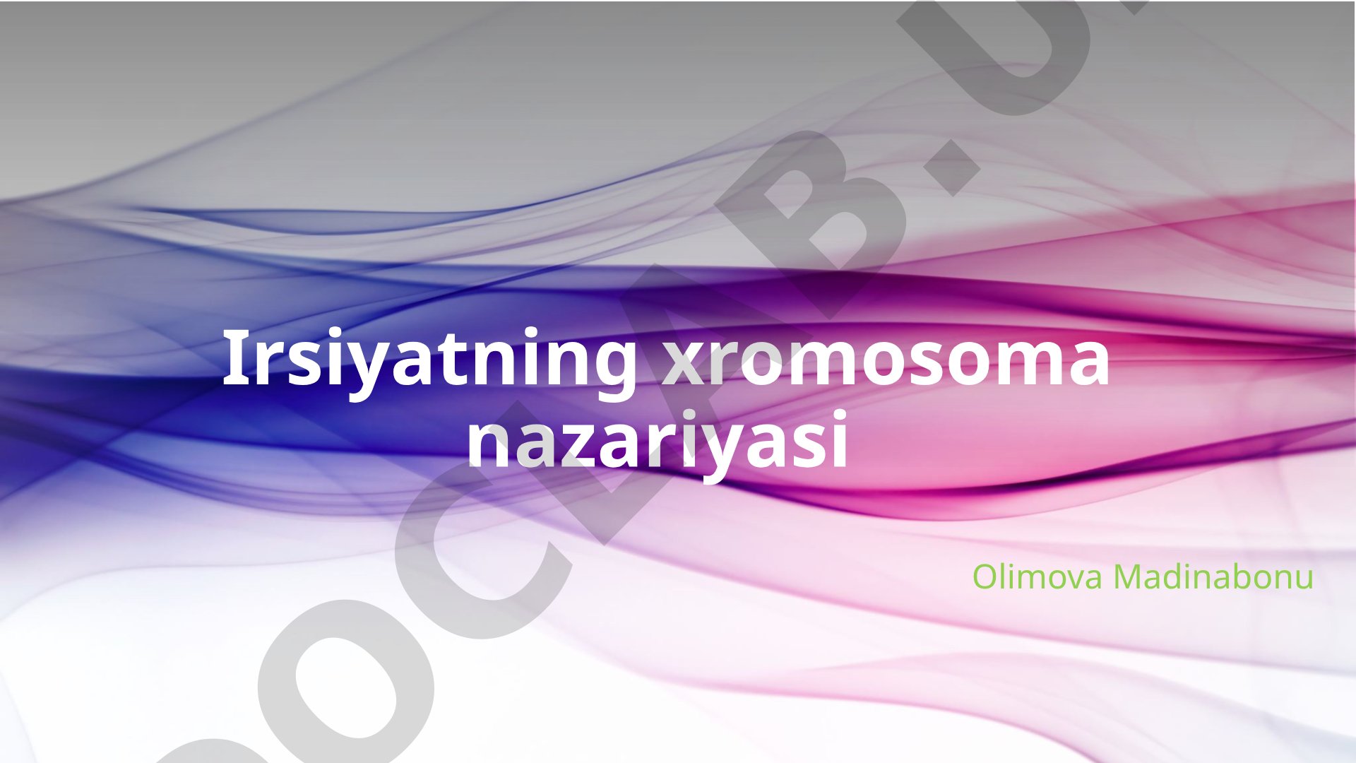 T.G.Morganning irsiyatning xromosoma nazariyasi va drozofil pashshasidagi tajribalari