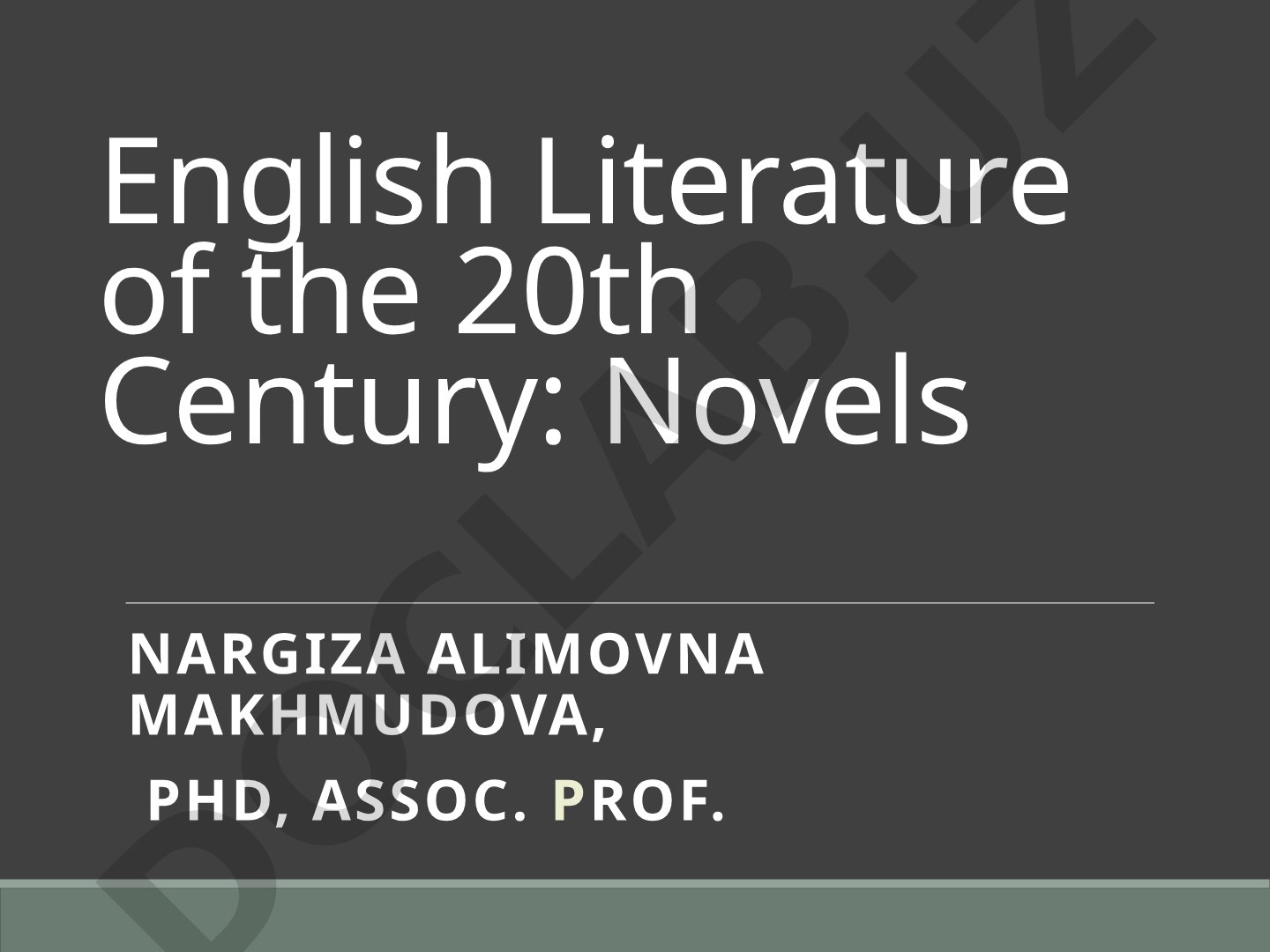 English Literature of the 20th Century: Novels