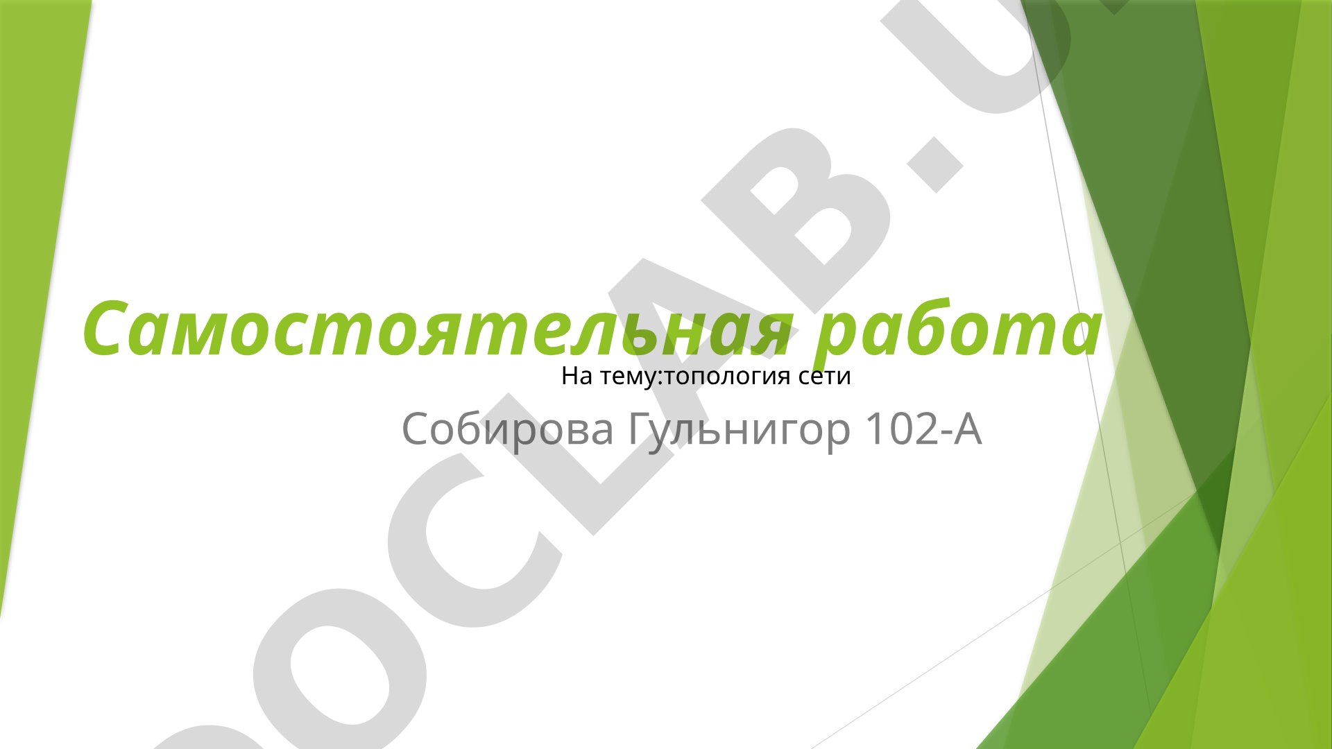 топология сети