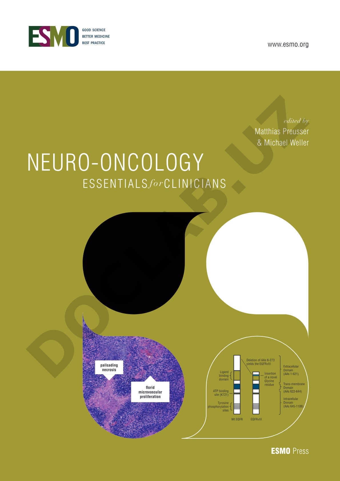 Neuro-Oncology: Essentials for Clinicians
