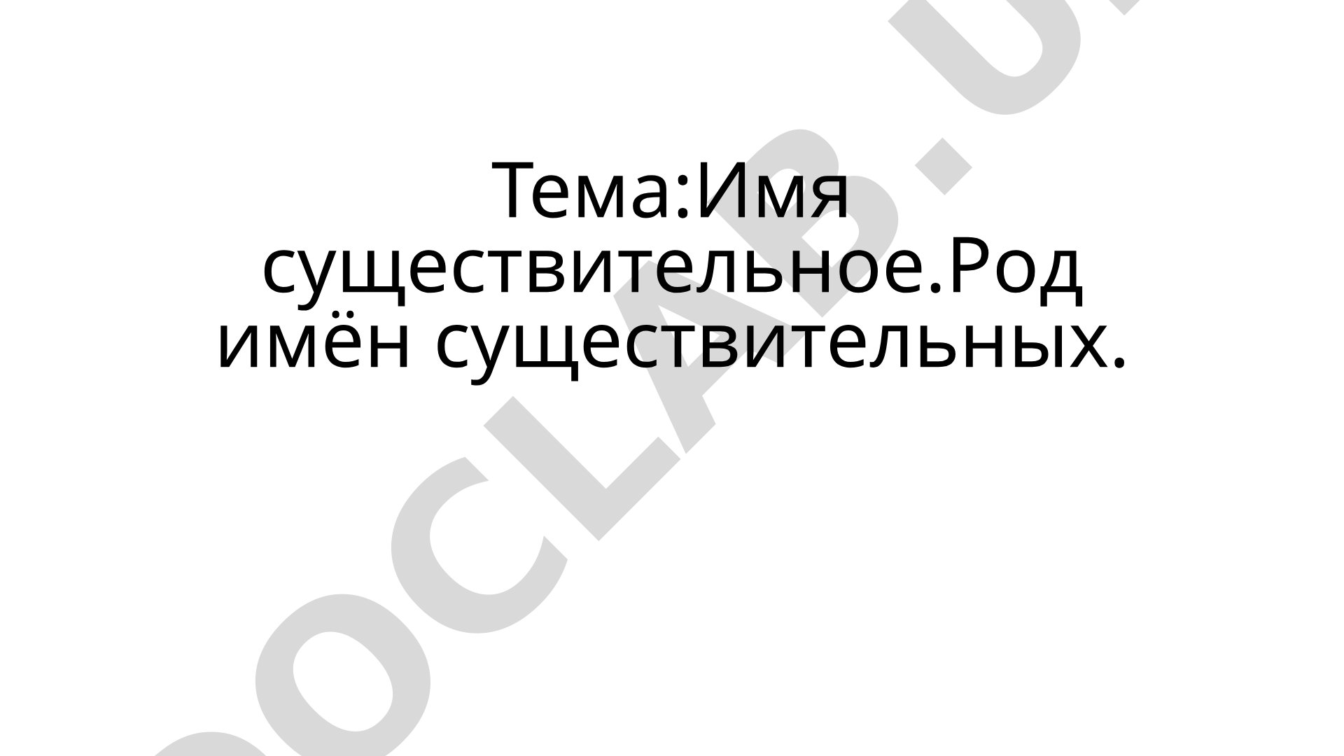 Имя существительное. Род имён существительных