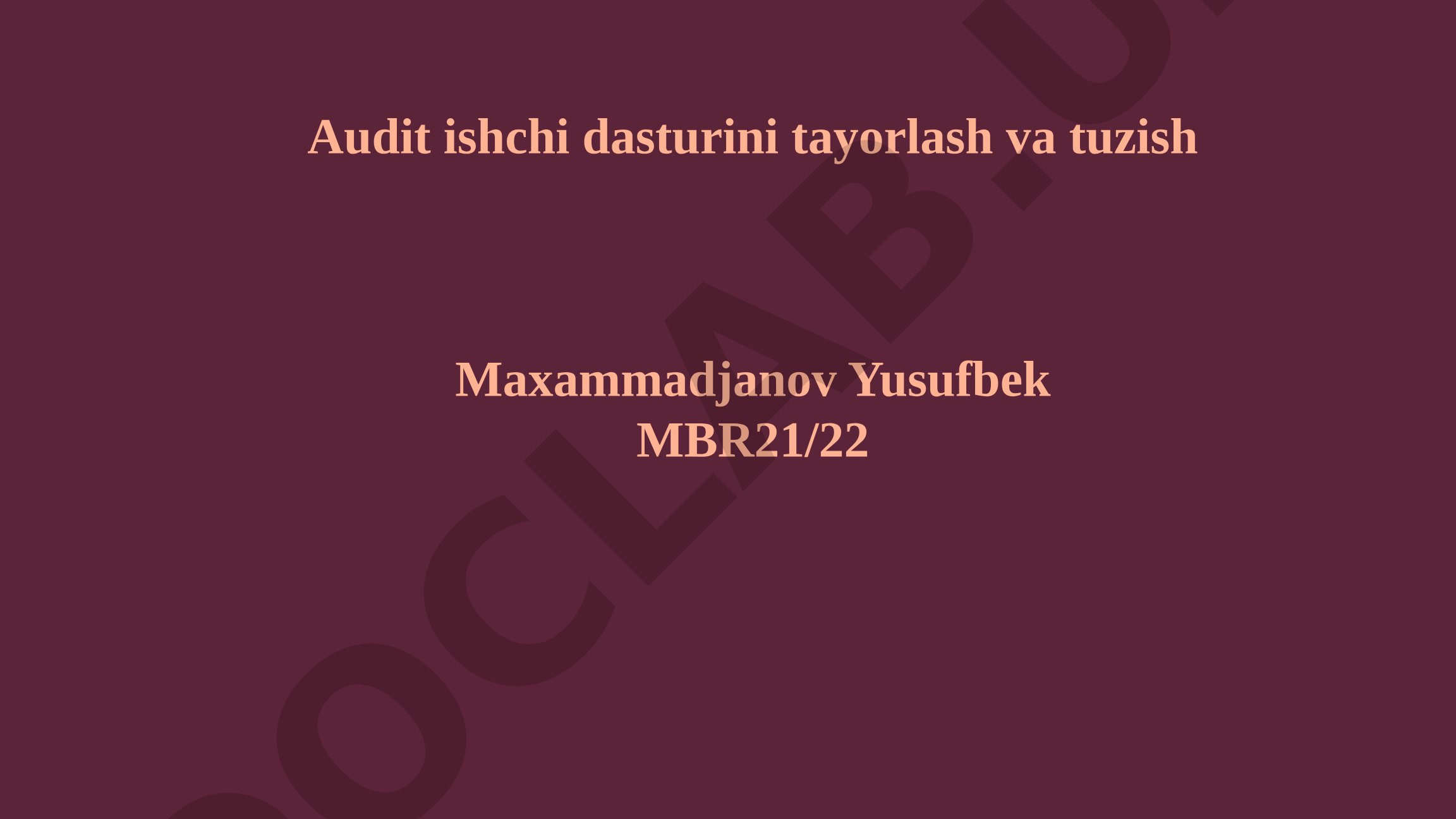 Audit ishchi dasturini tayorlash va tuzish