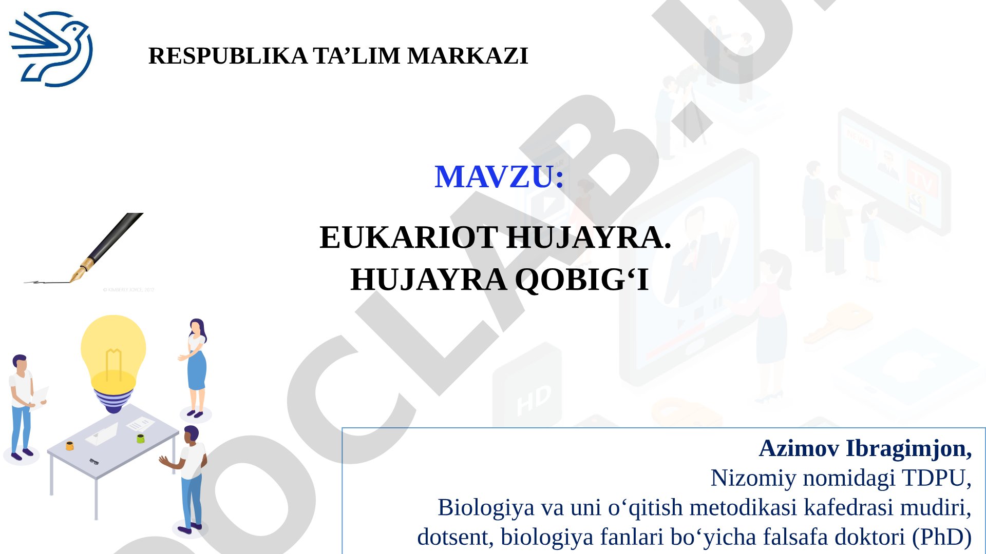 Eukariot hujayra. Hujayra qobig‘i