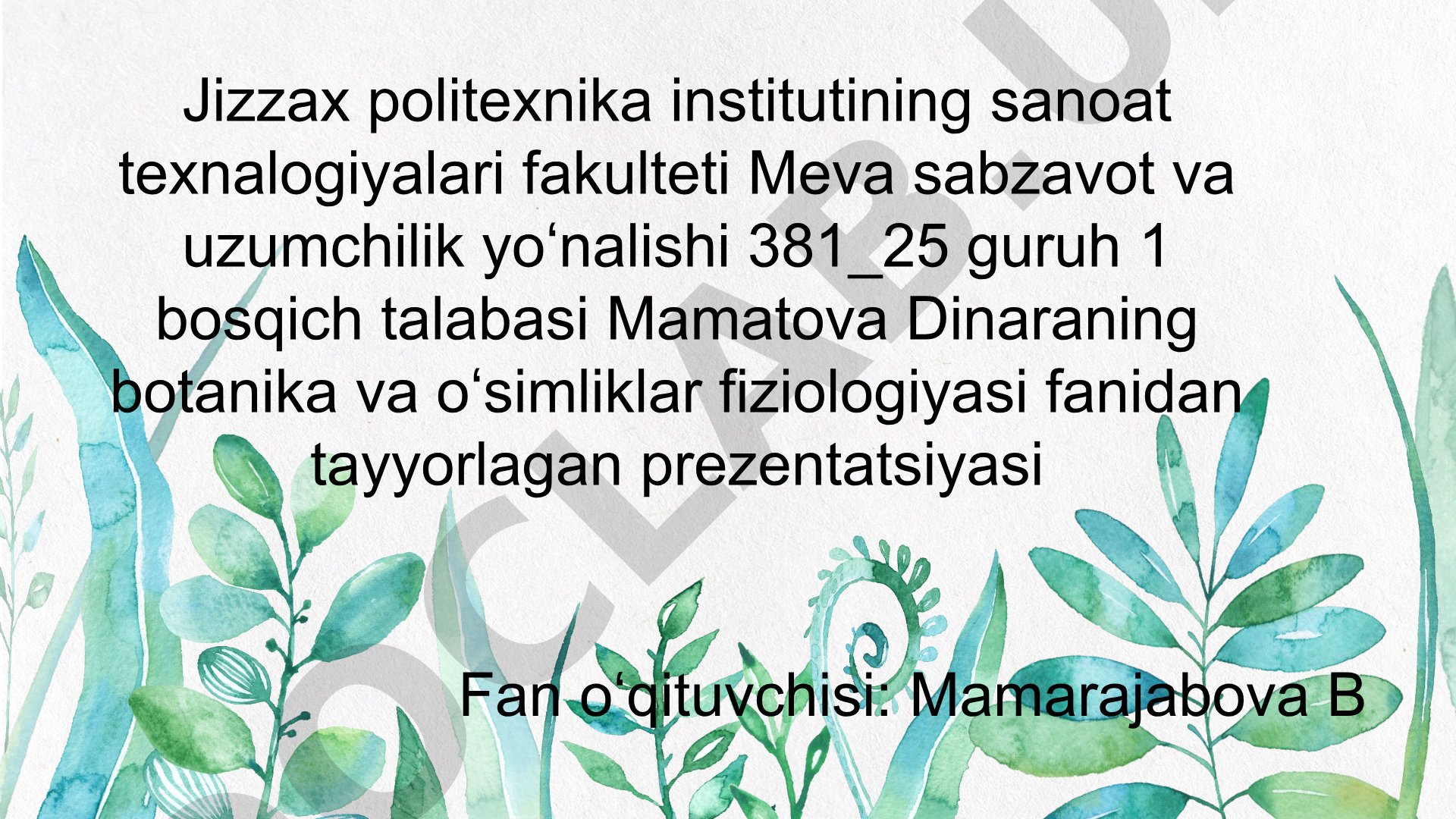 Oʻsimlik morfologiyasi va morfologiya tarixi