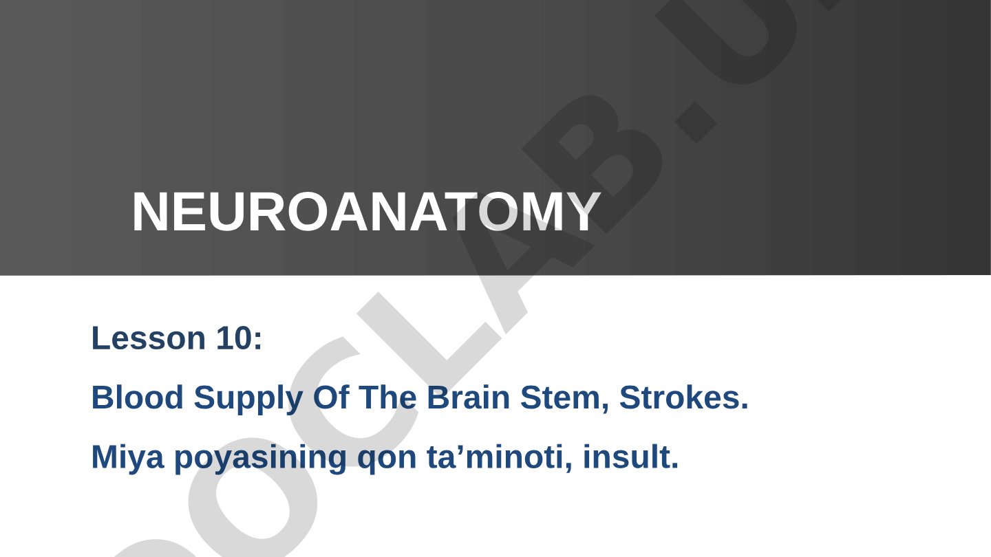 Blood Supply Of The Brain Stem, Strokes