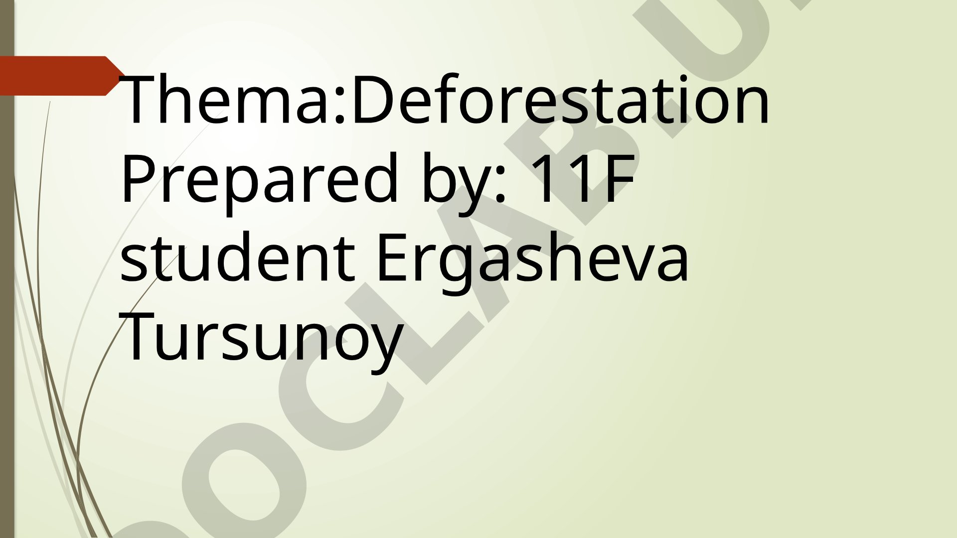 Presentation about causes, effects, and solutions to deforestation