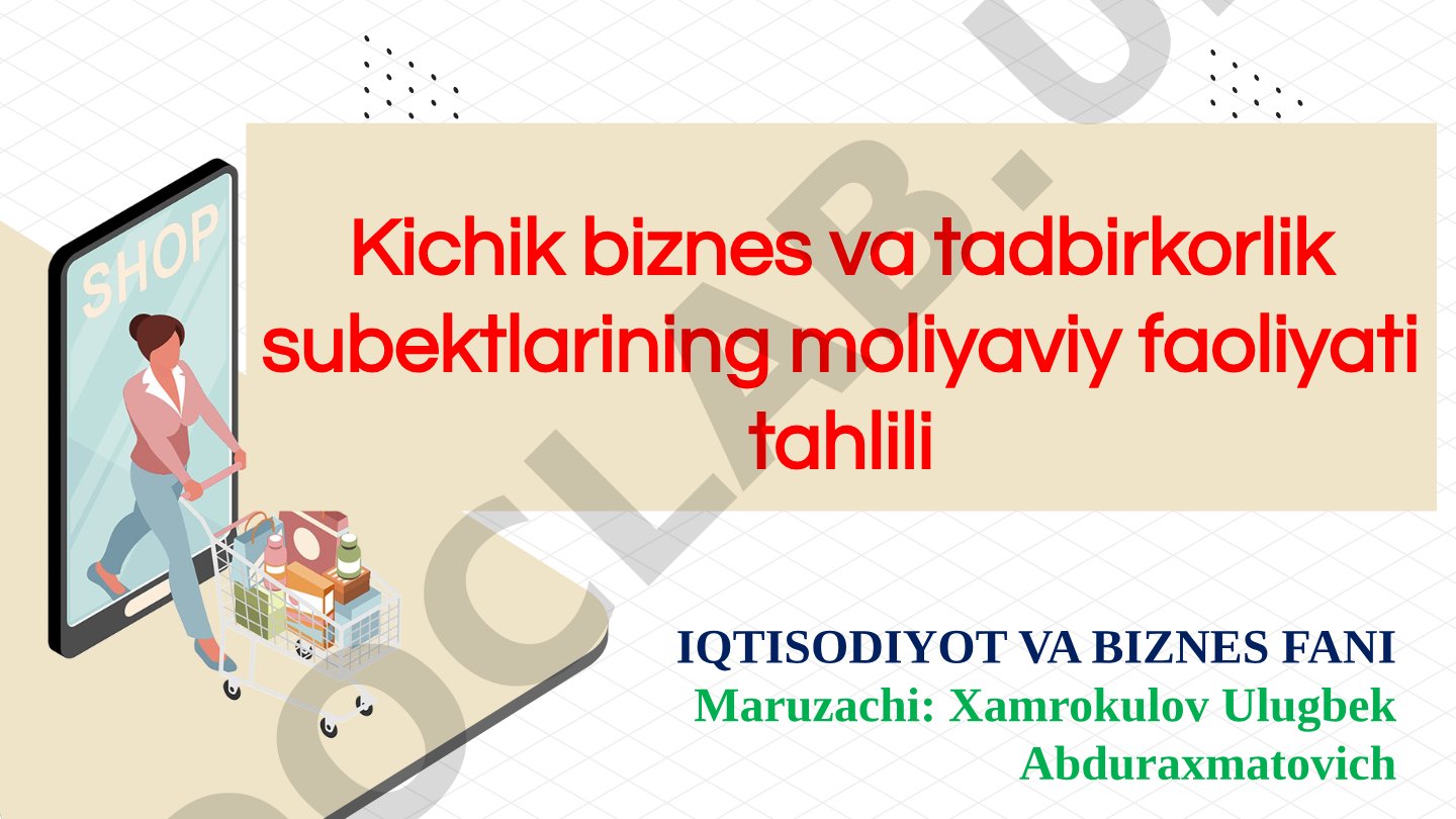 Kichik biznes va tadbirkorlik subektlarining moliyaviy faoliyati tahlili