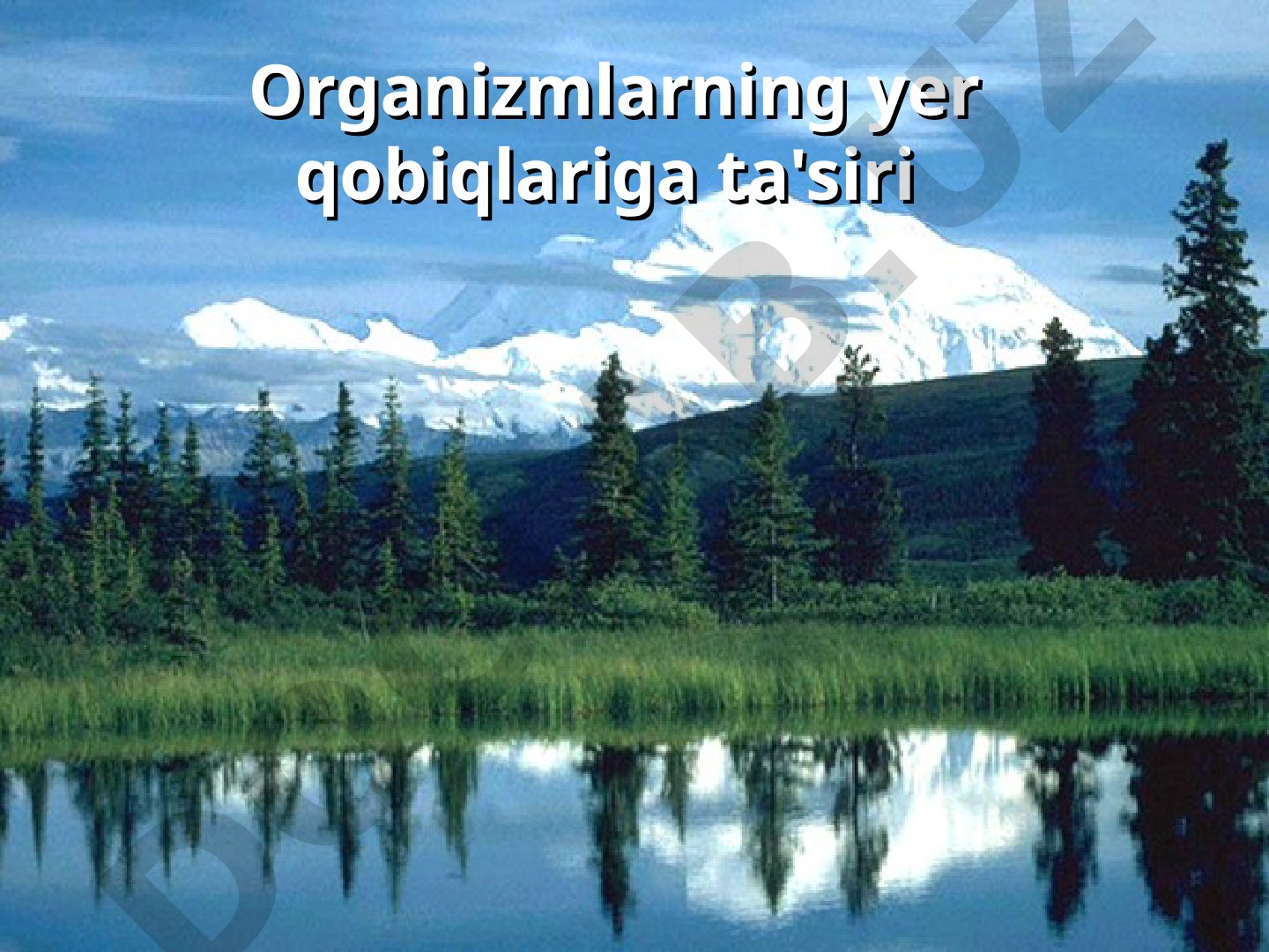 Organizmlarning yer qobiqlariga ta'siri