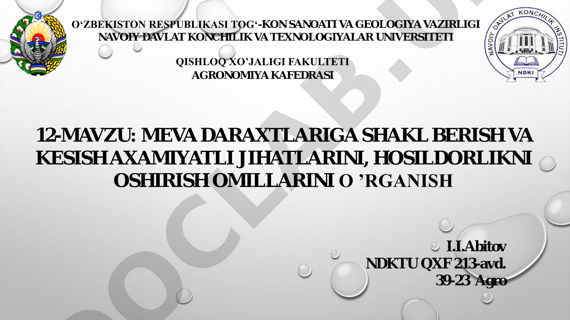 Meva daraxtlariga shakl berish va kesish ahamiyatli jihatlarini, hosildorlikni oshirish omillarini o‘rganish