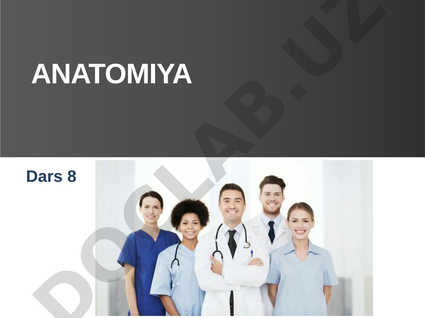 Os temporale (chakka suyagi) tuzilishi va qismlari