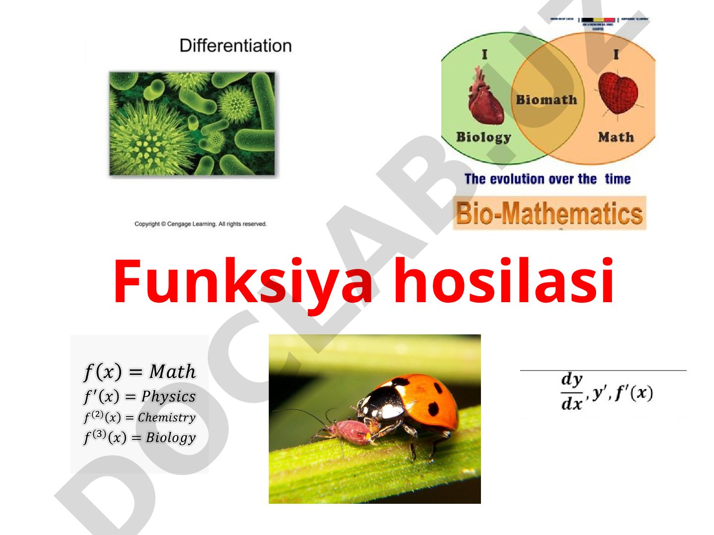 Funksiya hosilasi va biologiyada differensial hisob