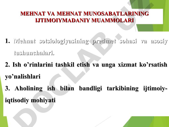 Mehnat va mehnat munosabatlarining ijtimoiy-madaniy muammolari