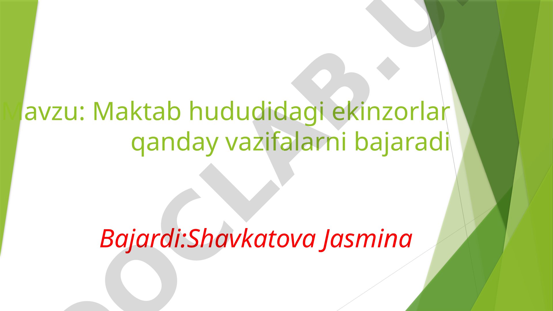 Maktab hududidagi ekinzorlar qanday vazifalarni bajaradi