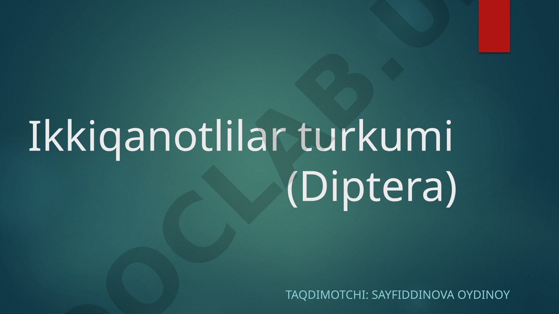 Ikkiqanotlilar turkumi (Diptera)