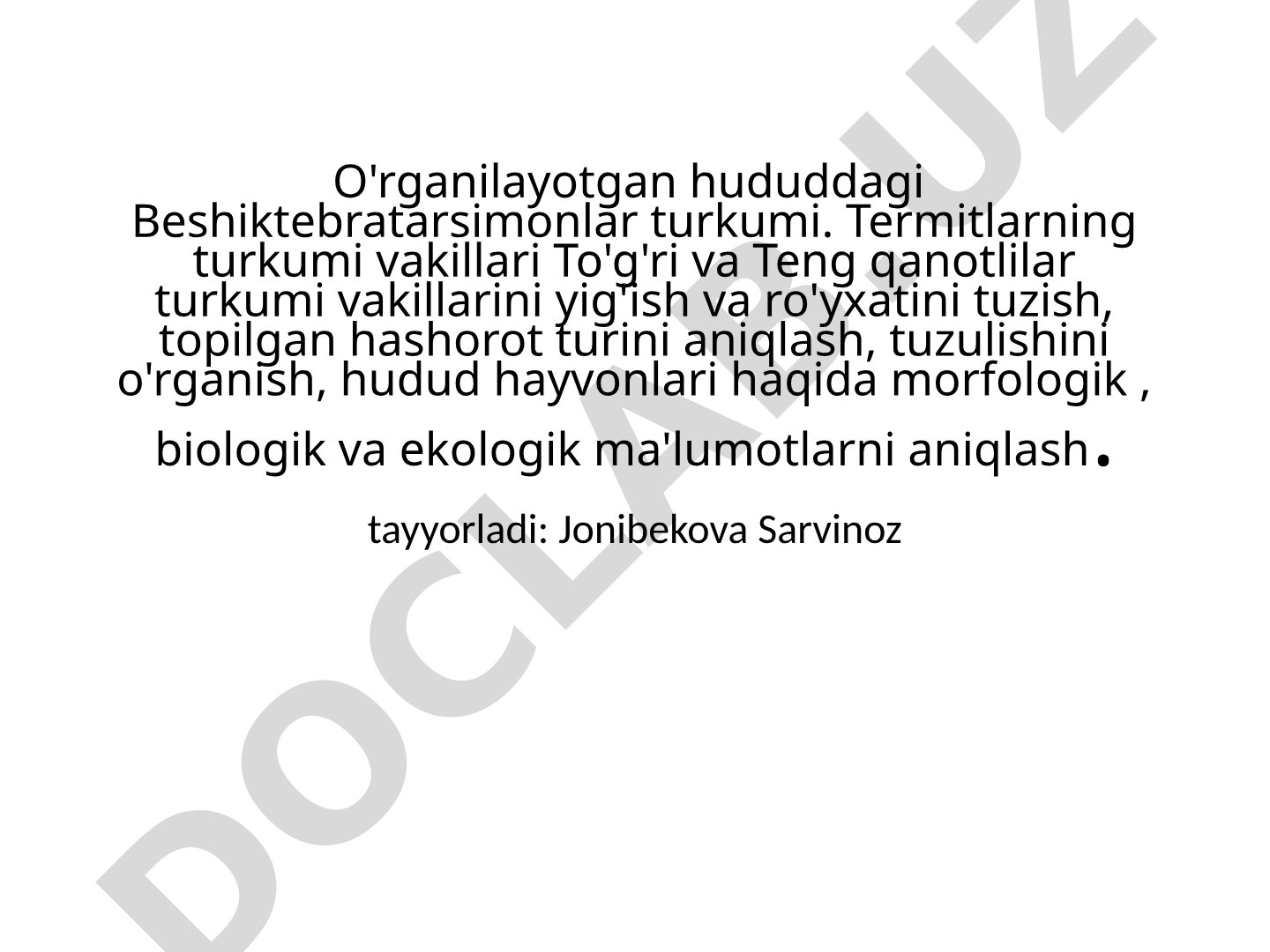 Beshiktebratarsimonlar, termitlar, to'g'ri qanotlilar va teng qanotlilar hashorotlarini yig‘ish va o‘rganish