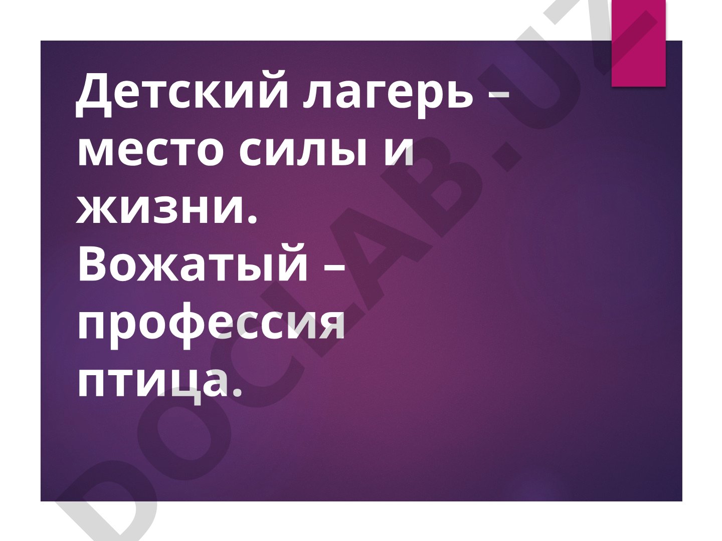 Профессия вожатый в детском лагере: требования и обязанности
