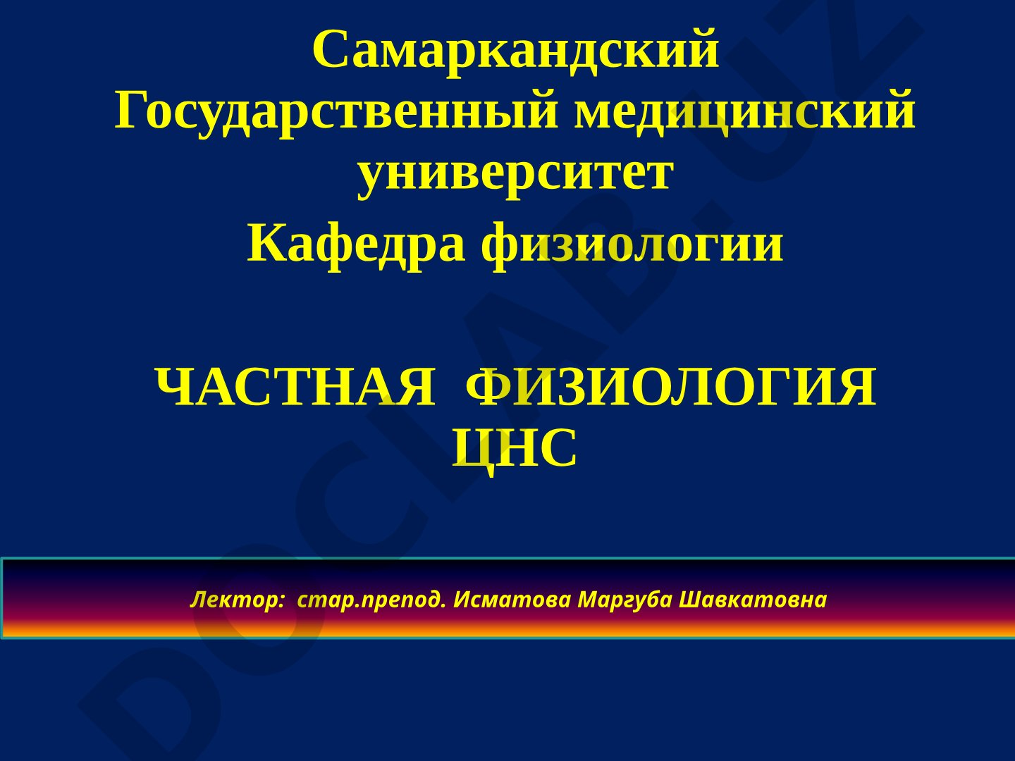 Частная физиология ЦНС: функционально-структурная характеристика спинного мозга