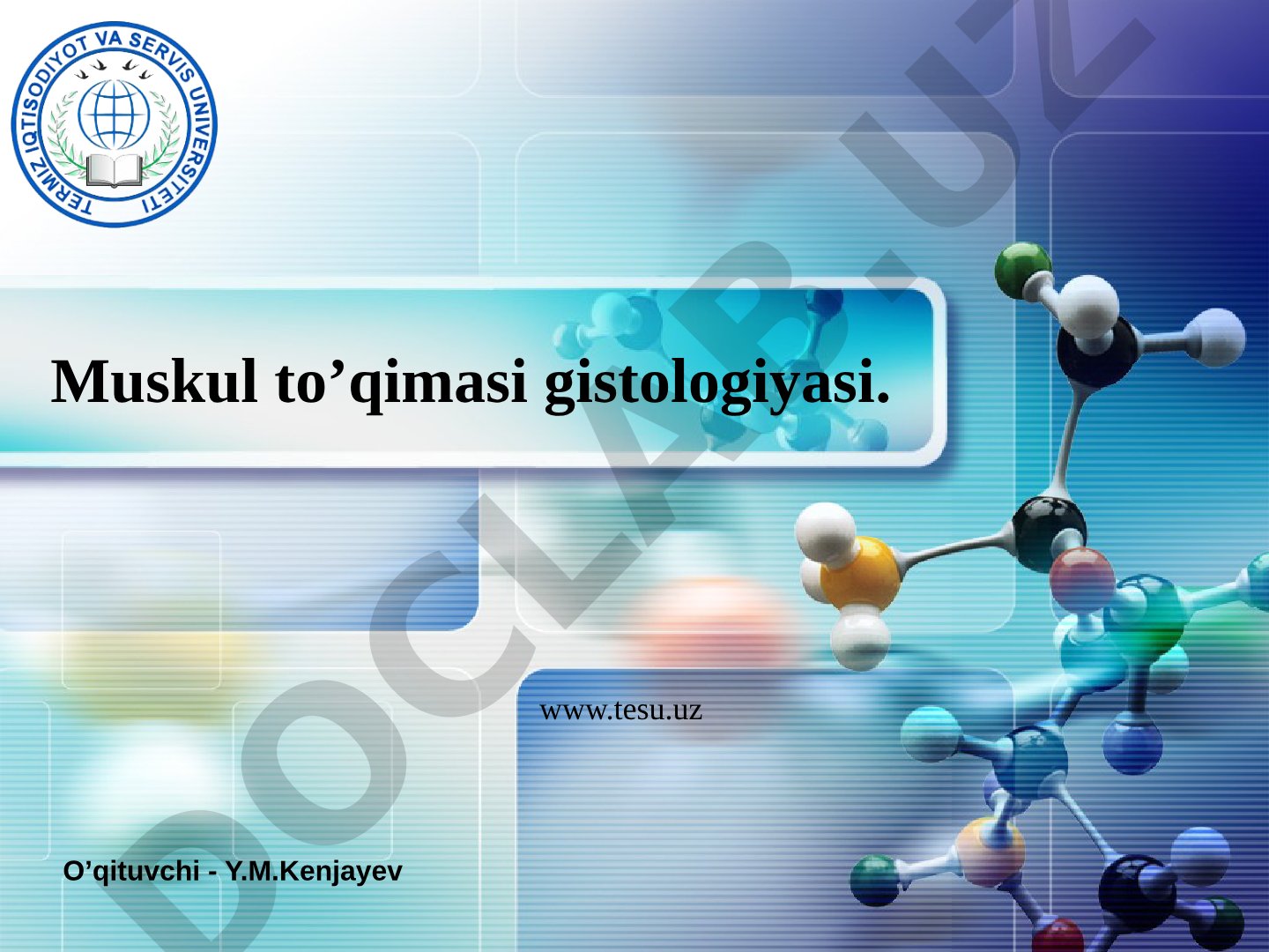 Muskul to'qimasi gistologiyasi