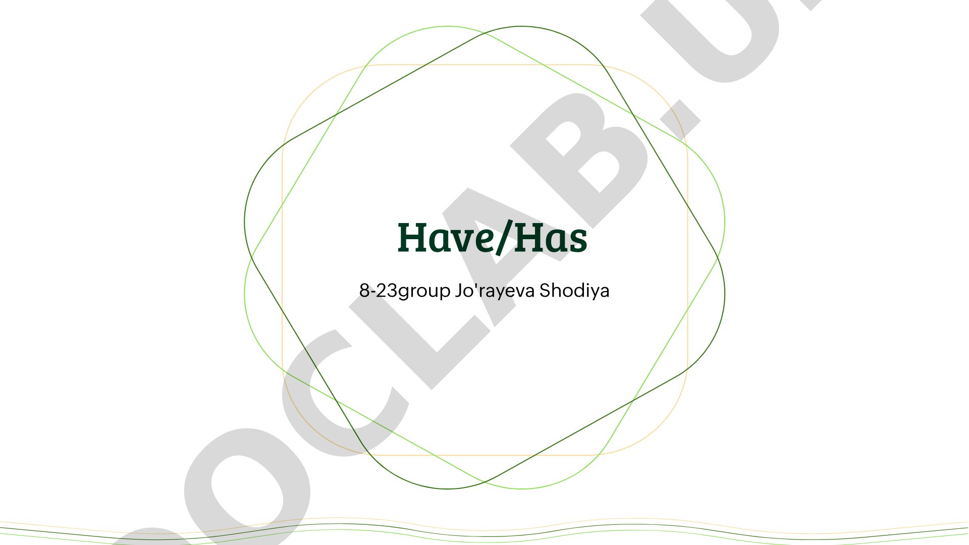Lesson on have/has: affirmative, negative, and question forms with examples