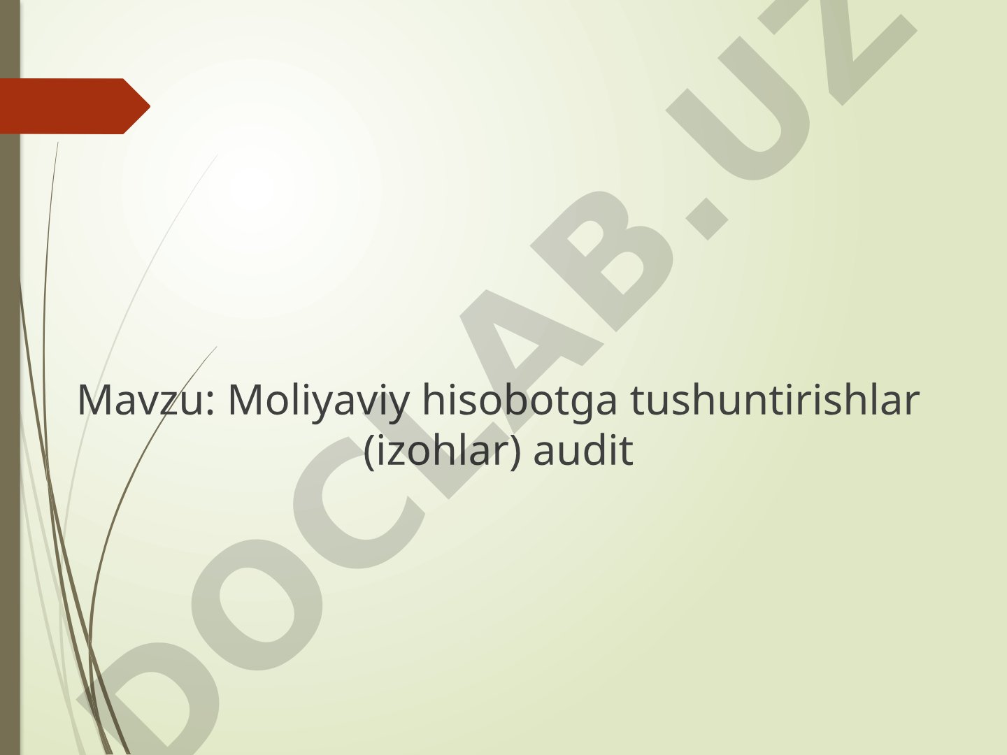 Moliyaviy hisobotga tushuntirishlar (izohlar) audit