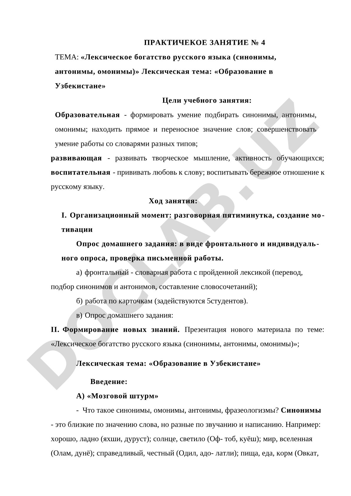 Лексическое богатство русского языка (синонимы, антонимы, омонимы)