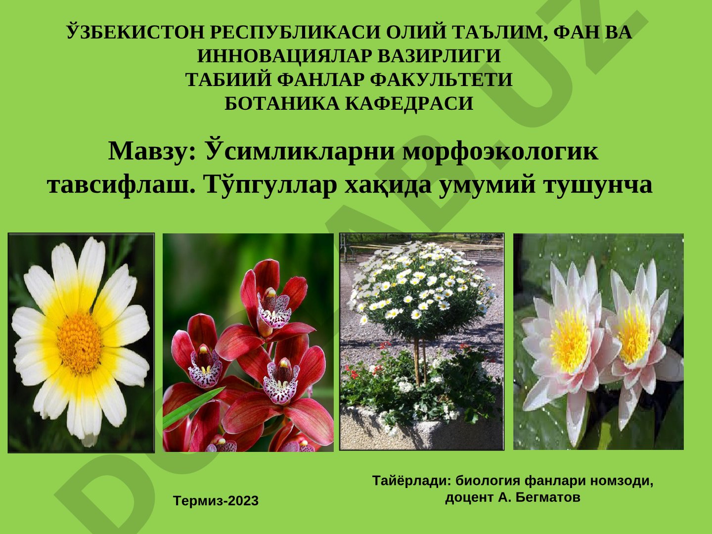 Ўсимликларни морфоэкологик тавсифлаш. Тўпгуллар ҳақида умумий тушунча