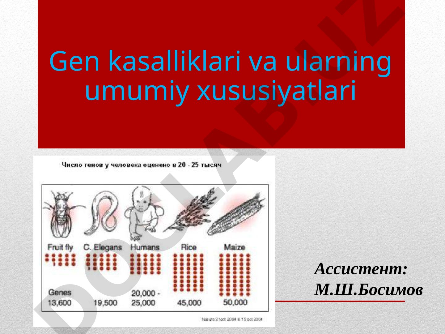 Gen kasalliklari va ularning umumiy xususiyatlari