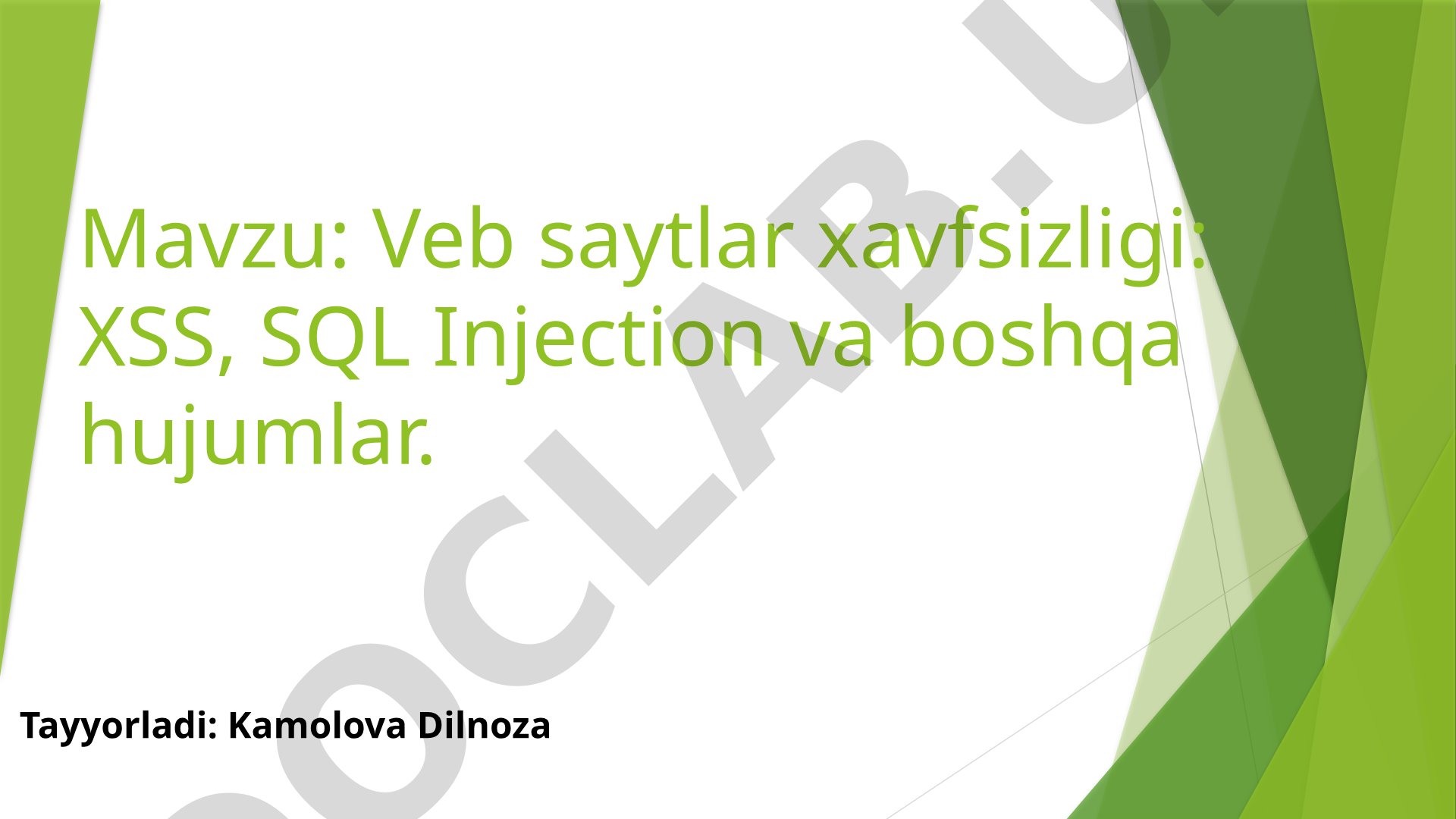 Veb saytlar xavfsizligi: XSS, SQL Injection va boshqa hujumlar