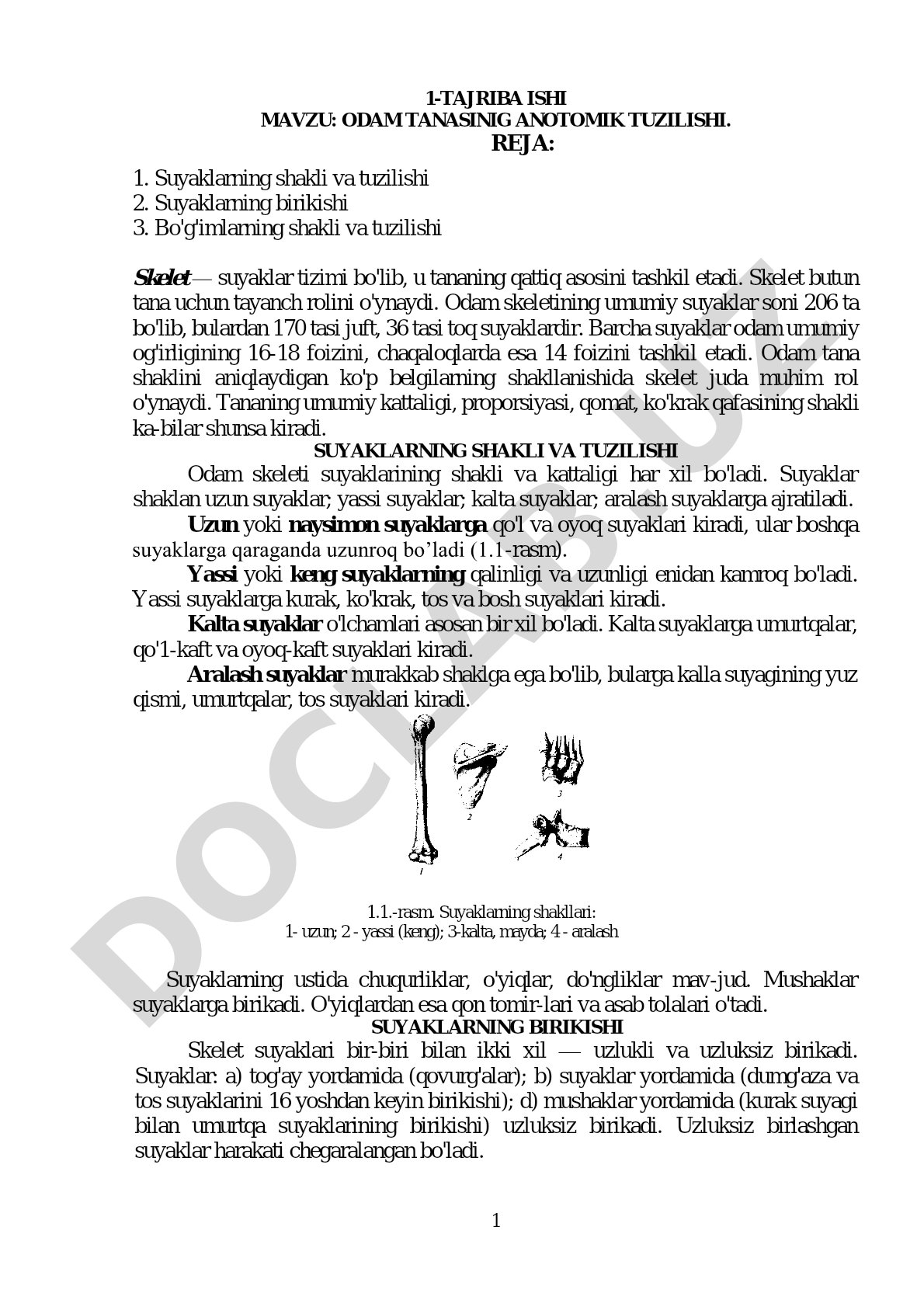 ODAM TANASINIG ANOTOMIK TUZILISHI