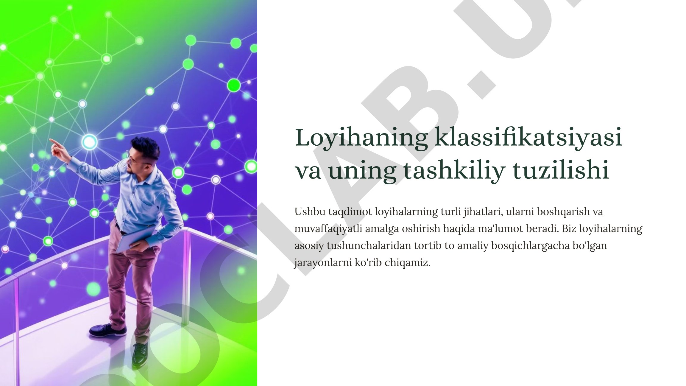 Loyihaning klassifikatsiyasi va uning tashkiliy tuzilishi