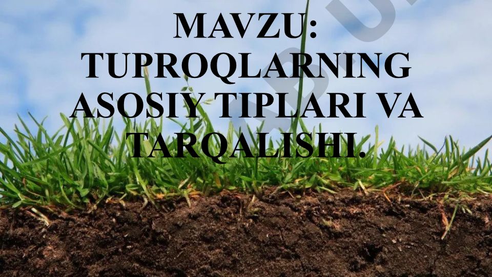 Tuproqlarning asosiy tiplari va tarqalishi