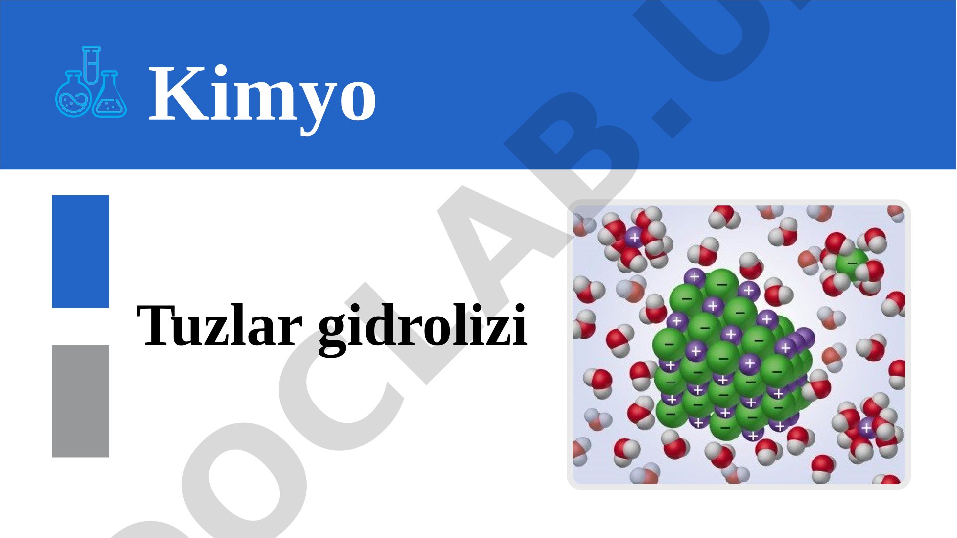 Tuzlar gidrolizi