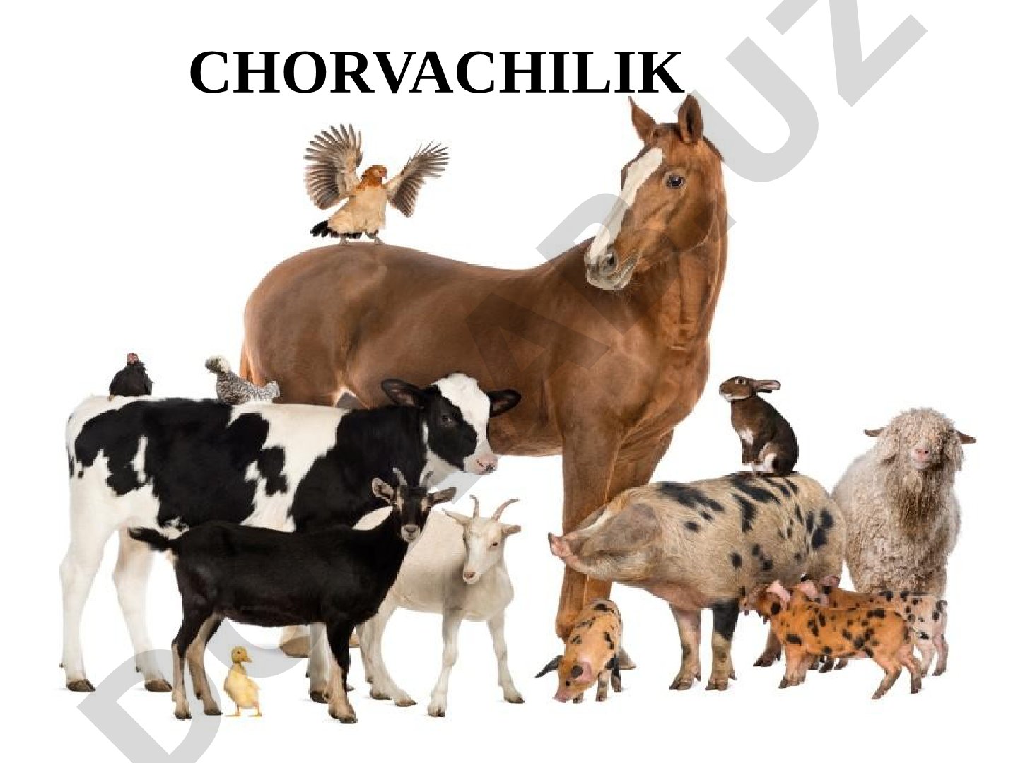 Chorvachilik tarmoqlari va ularning rivojlanishi