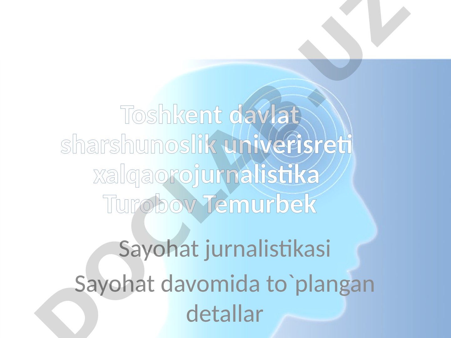 Sayohat davomida to'plangan detallar
