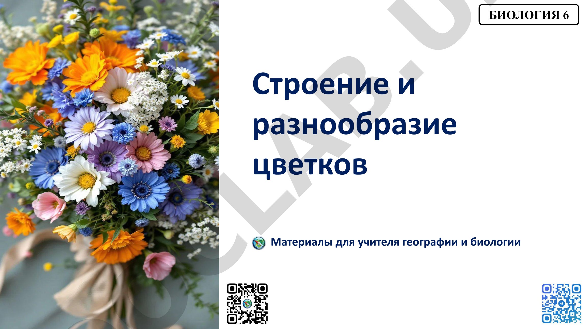 Строение и разнообразие цветков