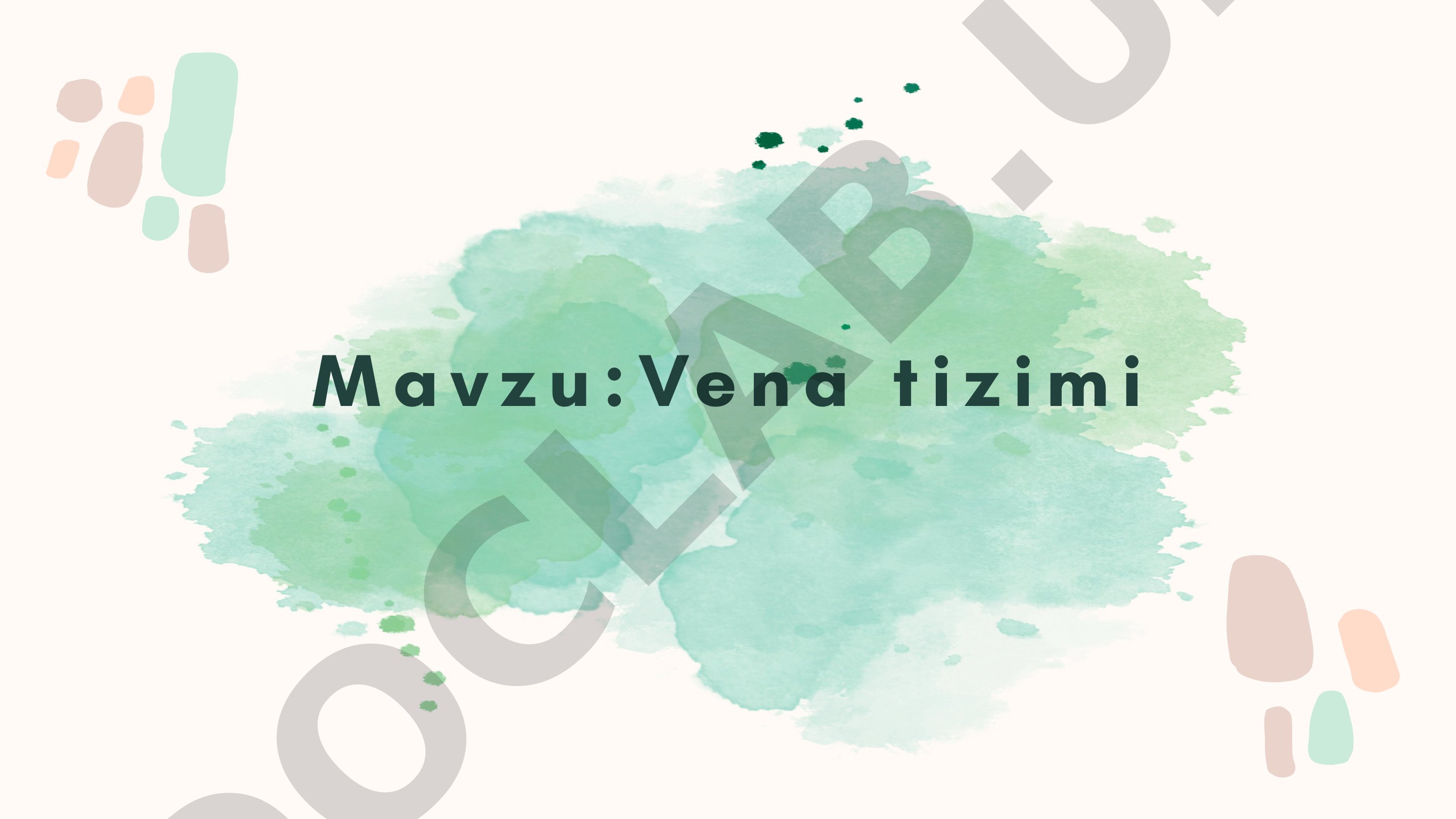 Vena tizimi
