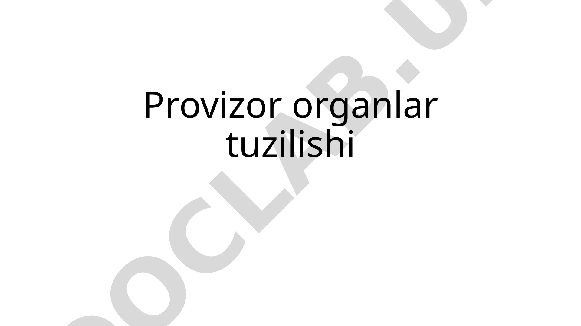 Provizor a'zolarning tuzilishi, vazifalari va embrional rivojlanishi haqida ma'lumot