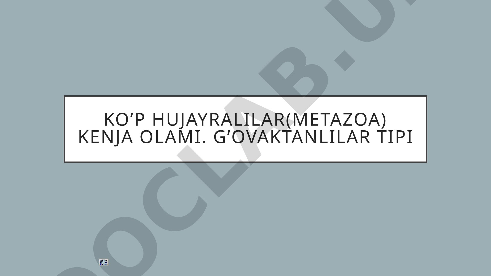 Ko’p hujayralilar (metazoa) kenja olami. G’ovaktanlilar tipi
