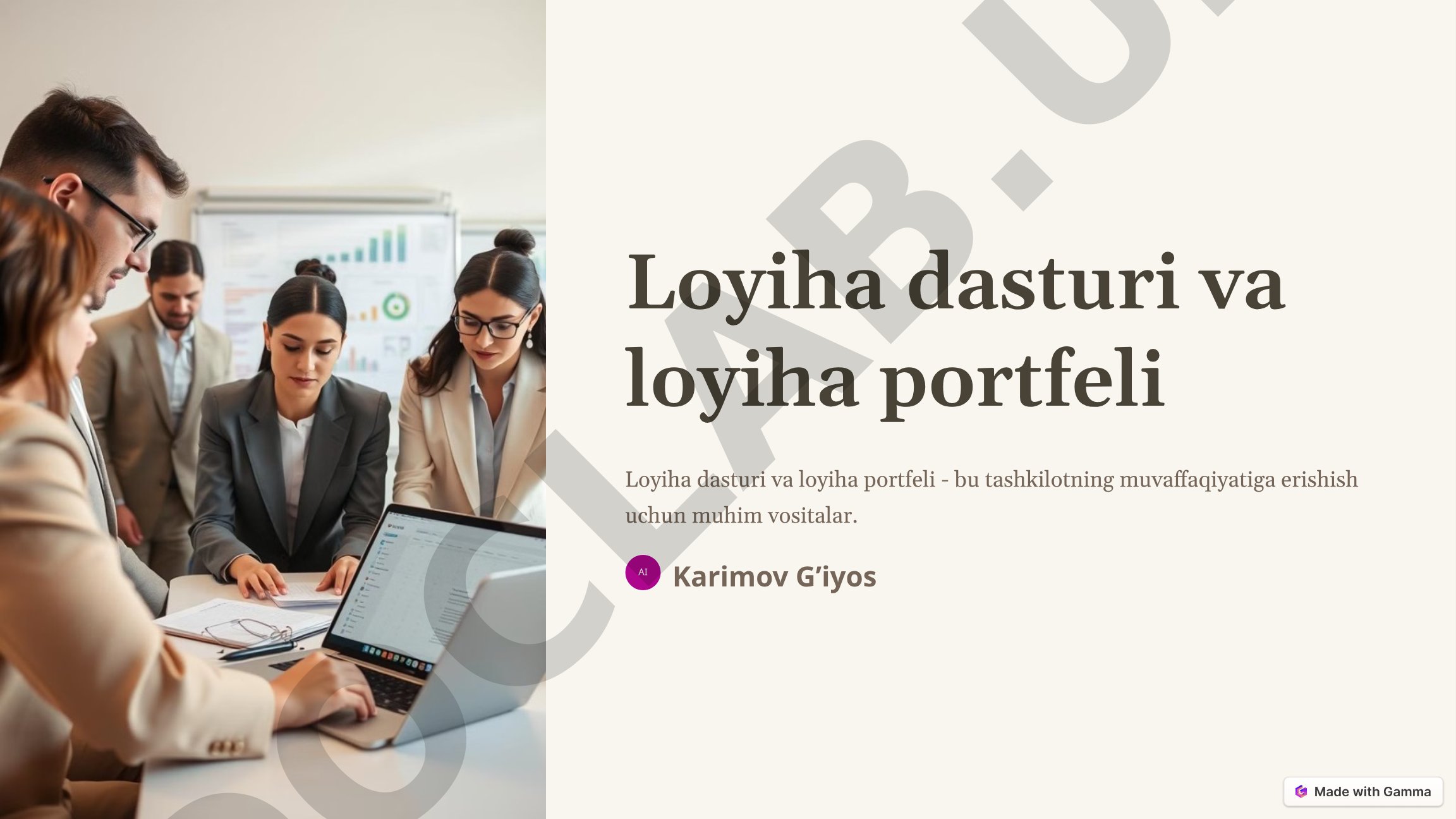 Loyiha dasturi va loyiha portfeli
