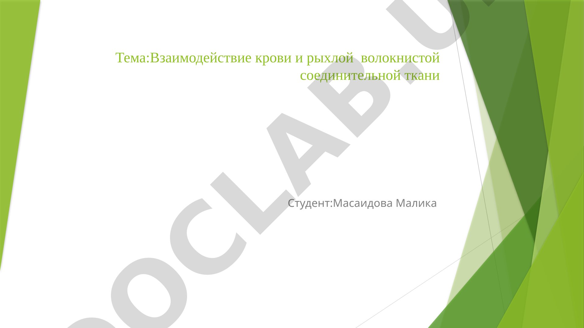 Взаимодействие крови и рыхлой волокнистой соединительной ткани
