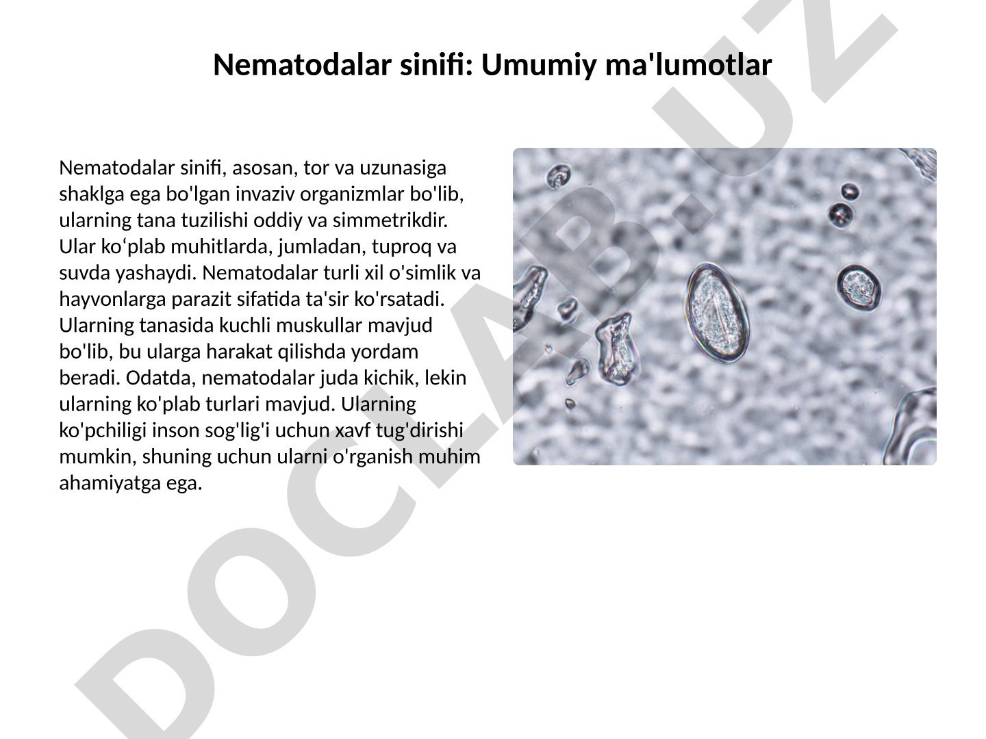 Nematodalar sinifi: umumiy ma'lumotlar va tasnifi