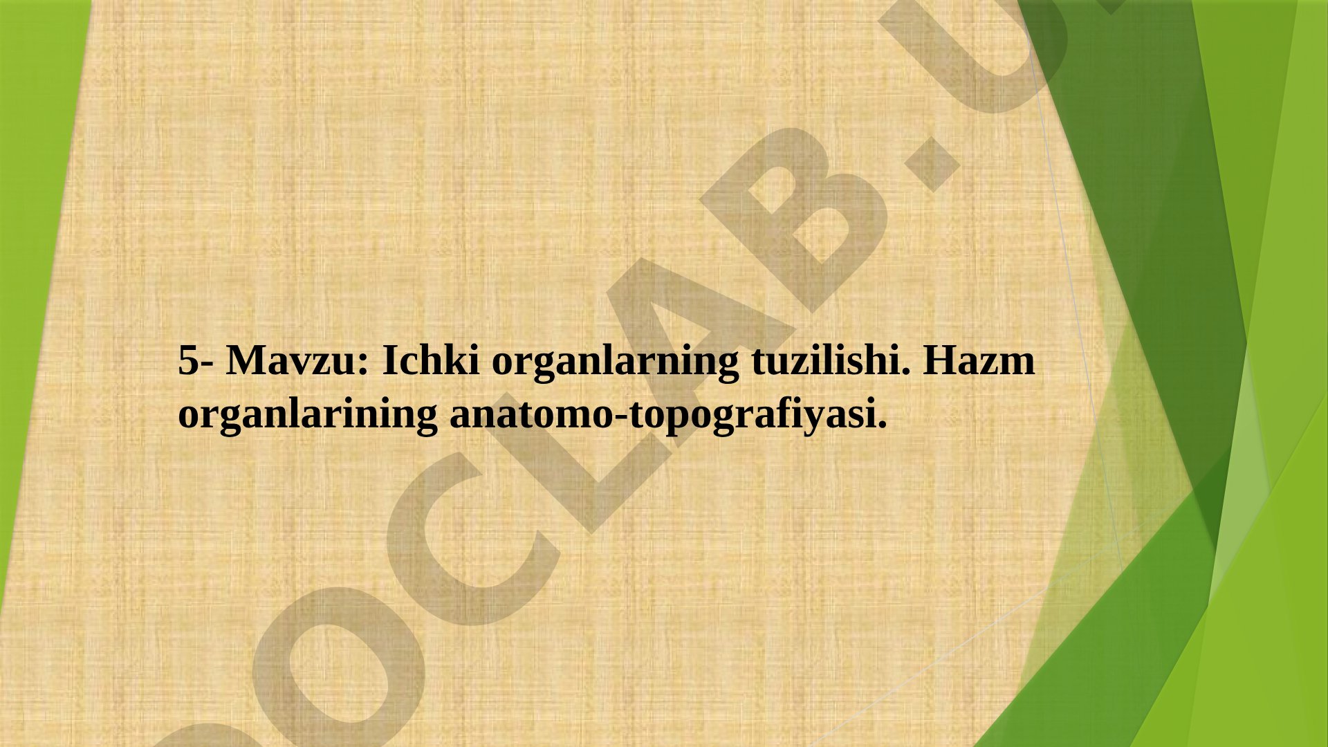 Ichki organlarning tuzilishi. Hazm organlarining anatomo-topografiyasi