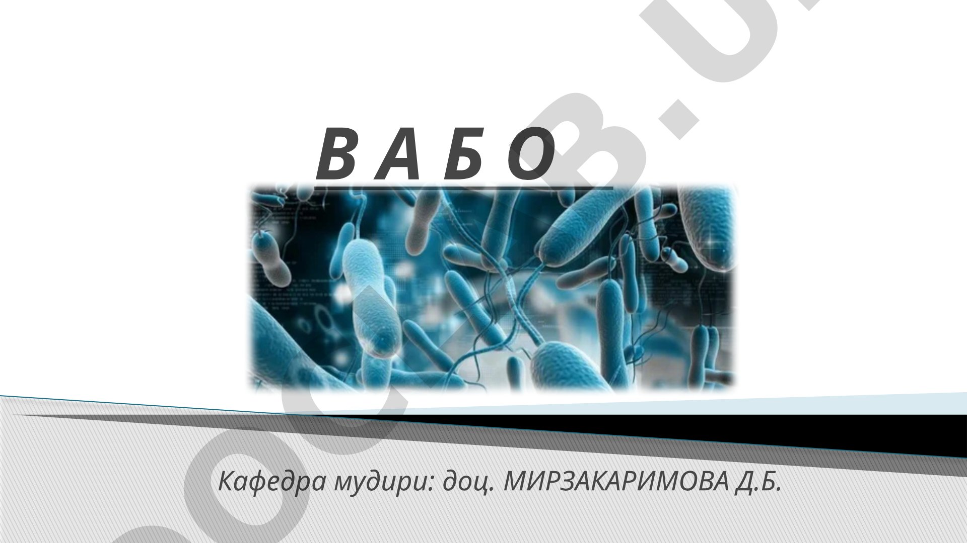 Vabo kasalligi etiologiyasi