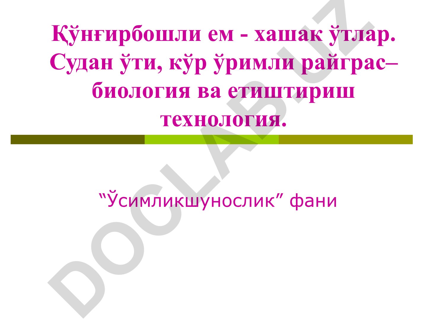 Қўнғирбошли ўтлар: Судан ўти ва кўр ўримли райграс