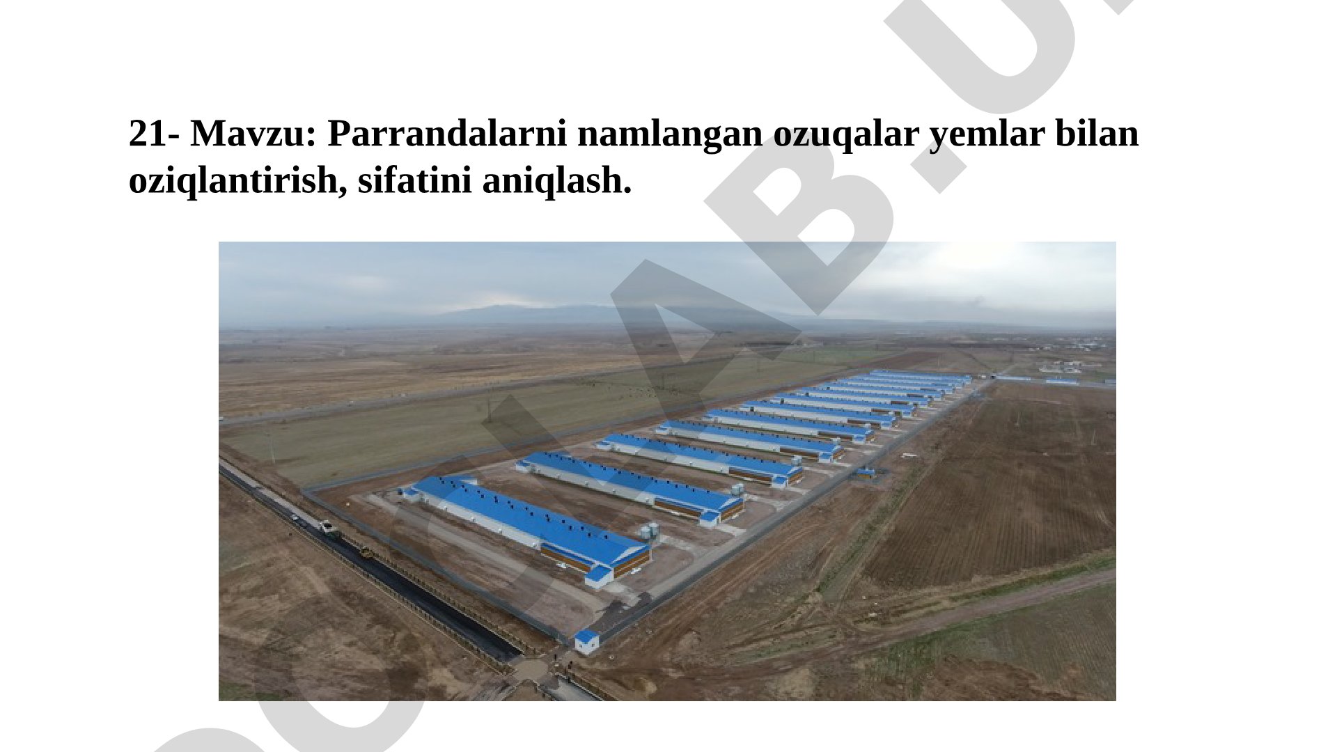 Parrandalarni namlangan ozuqalar yemlar bilan oziqlantirish, sifatini aniqlash